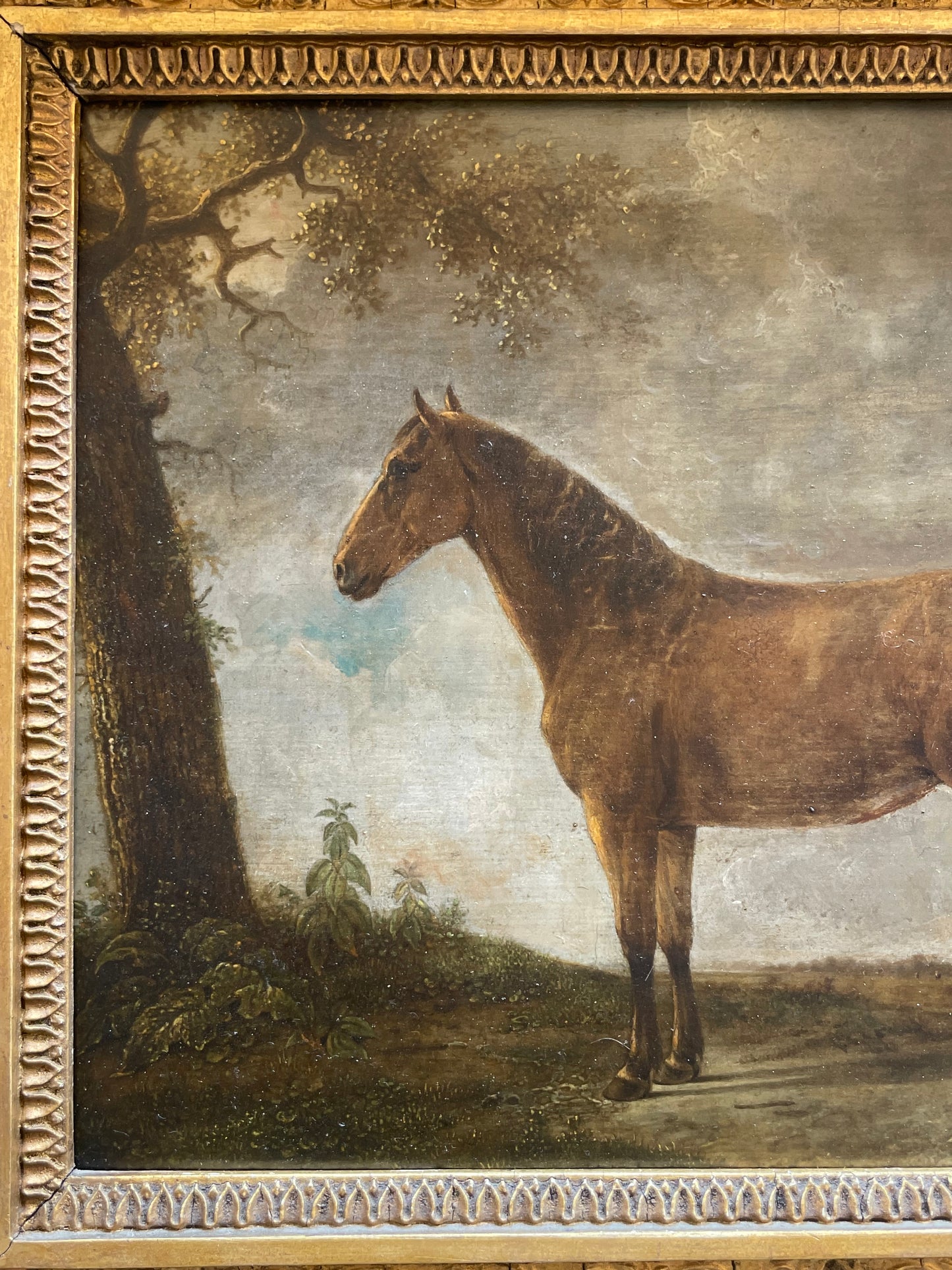 Cavallo bruno davanti a un villaggio, scuola olandese del XVIII secolo