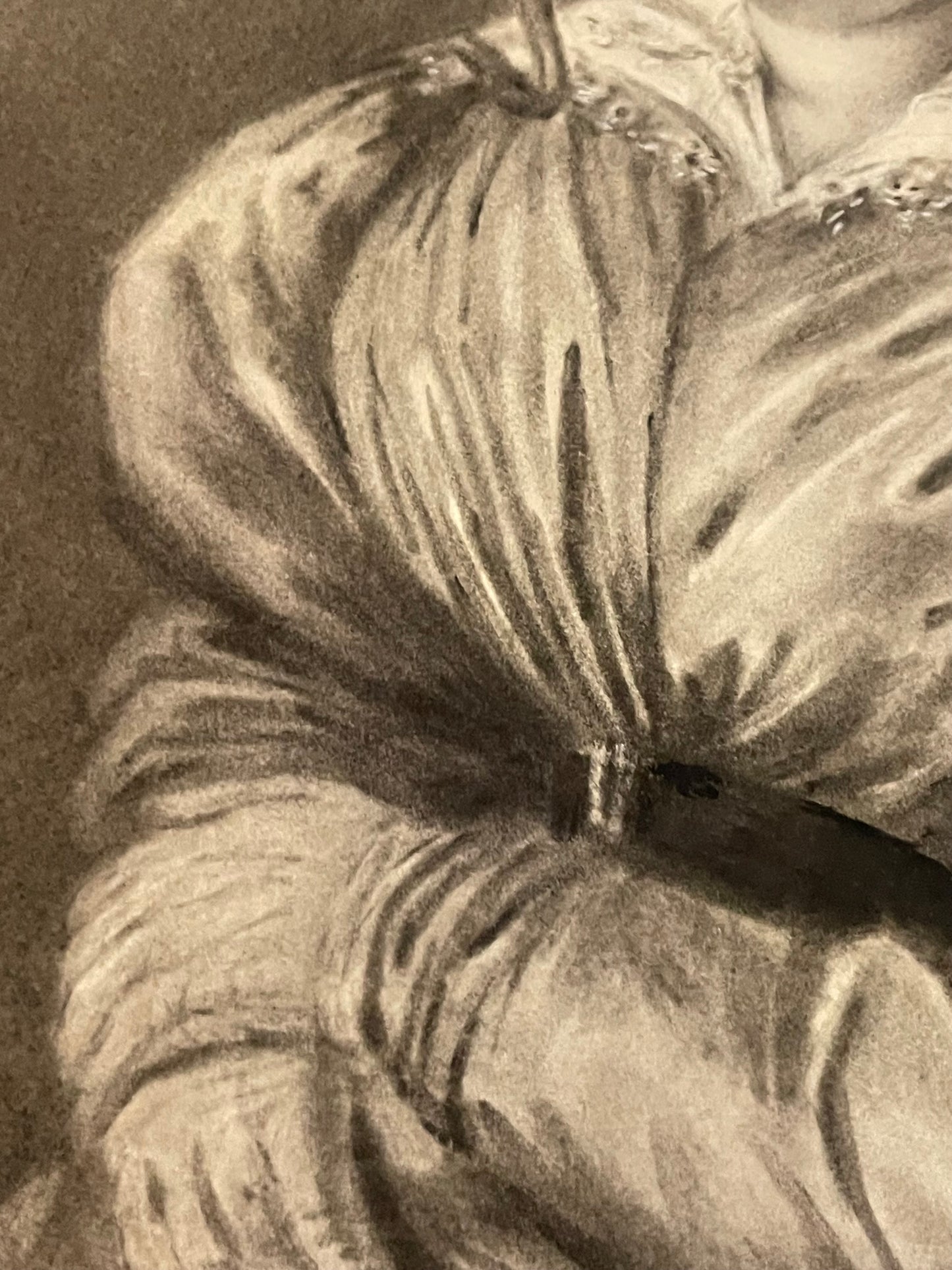 Ritratto a carboncino di dama con la cuffia . Circa 1830
