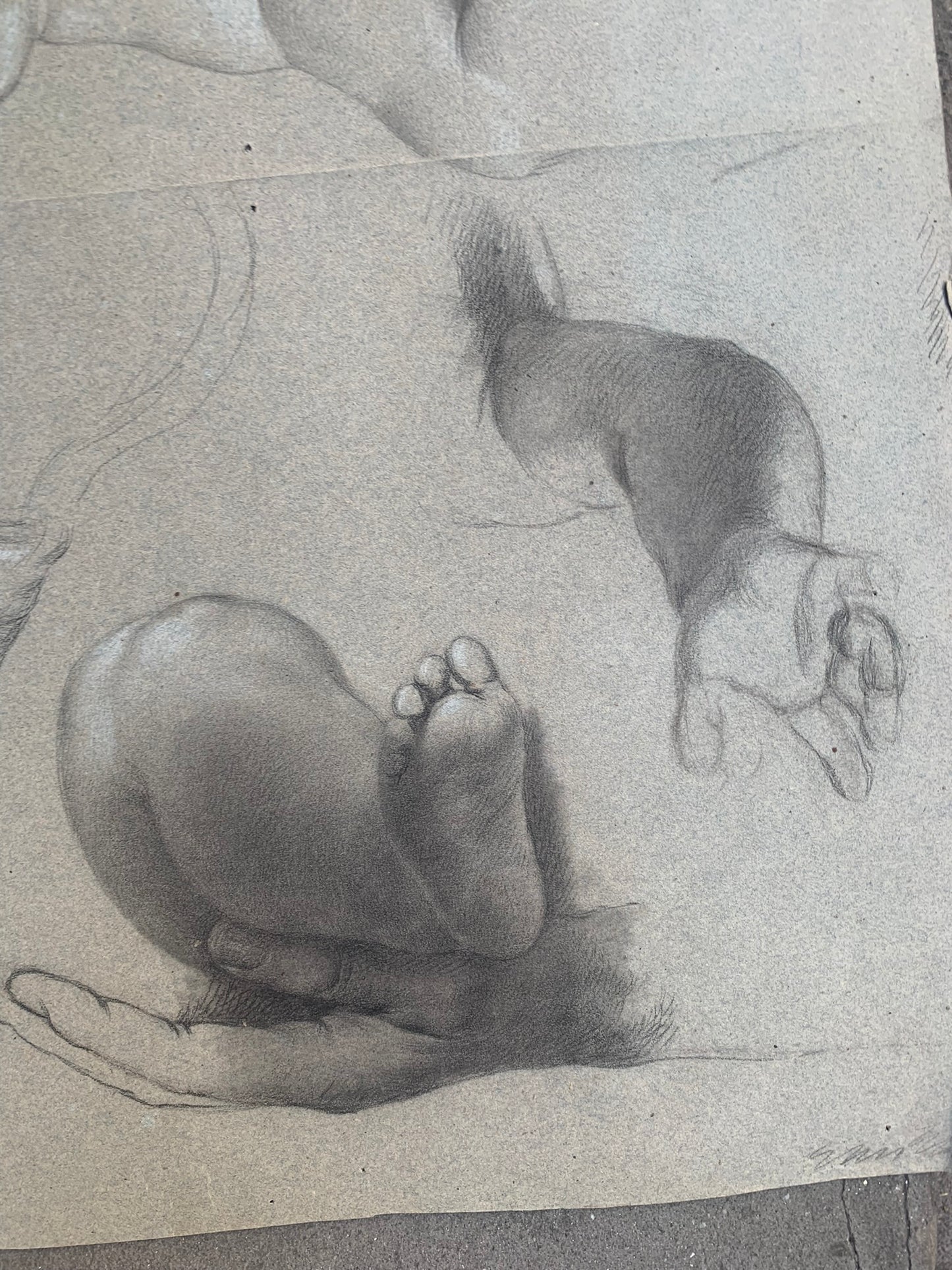 Academic study of hands and child's feet. Nineteenth century.