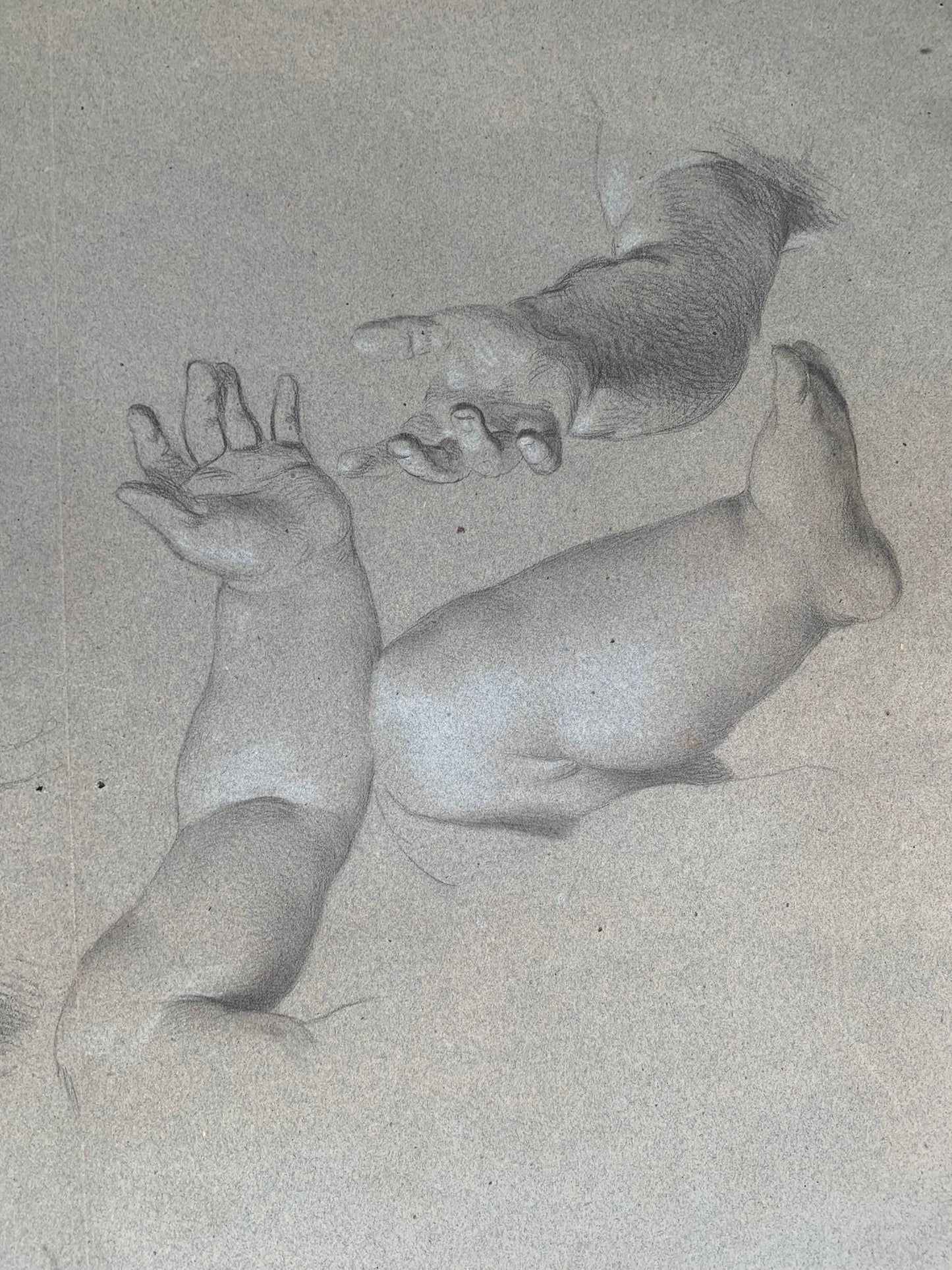 Academic study of hands and child's feet. Nineteenth century.