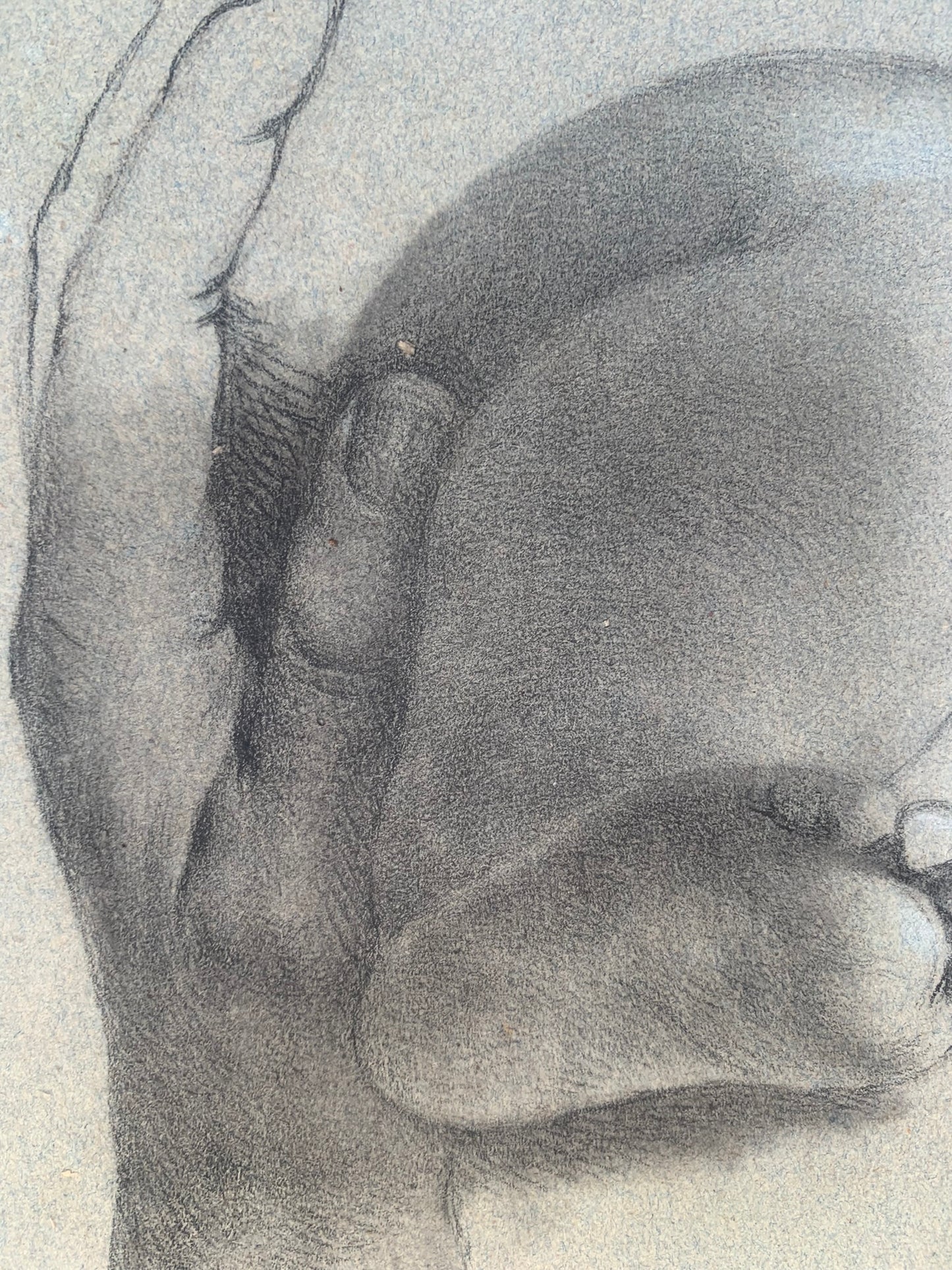 Academic study of hands and child's feet. Nineteenth century.