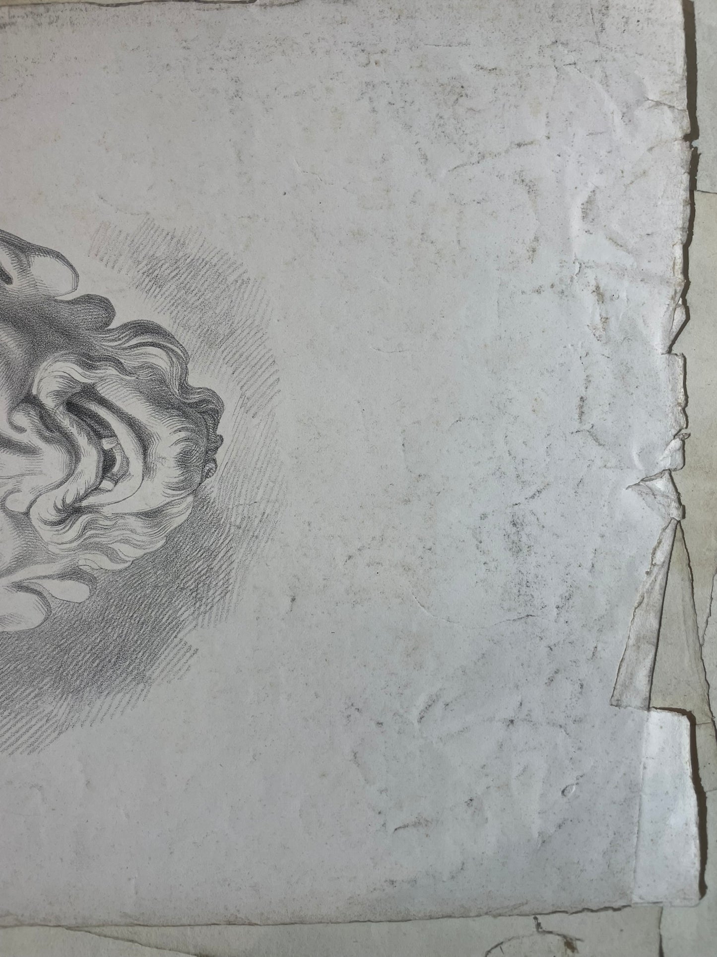 Satyr Mask, Academic Study after an Antique Model and Michelangelo’s Lost Work, 49 × 32.5 cm