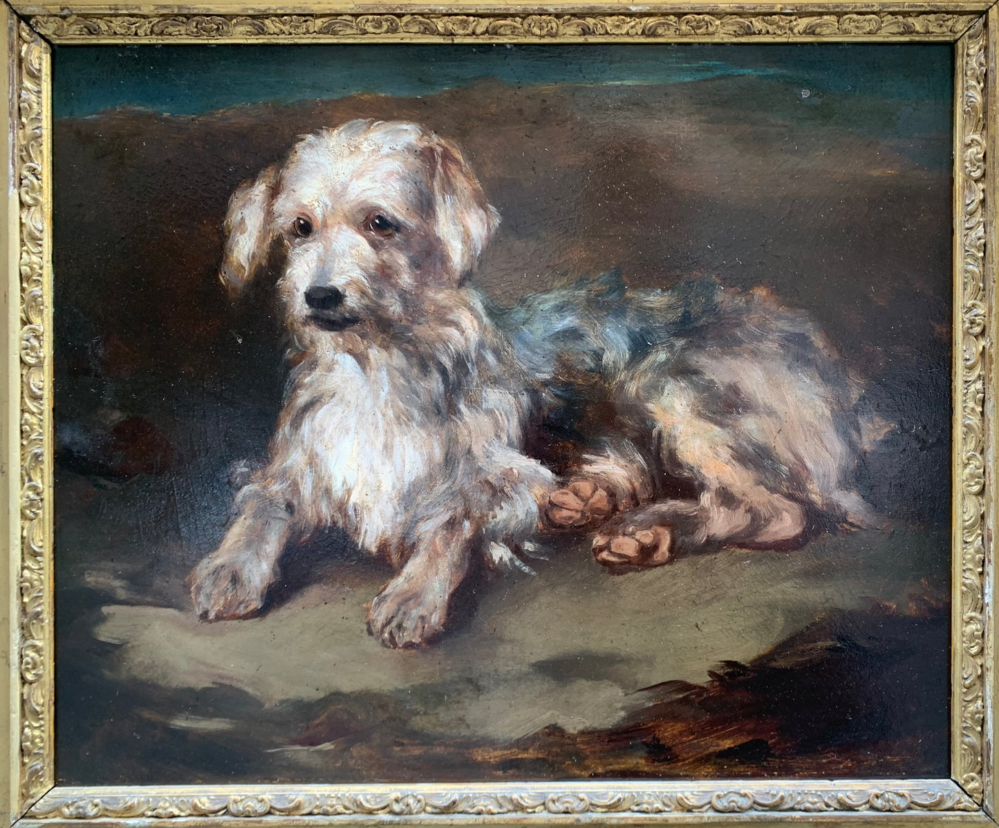 Portrait of a dog: reclining Terrier. Late XIX century.