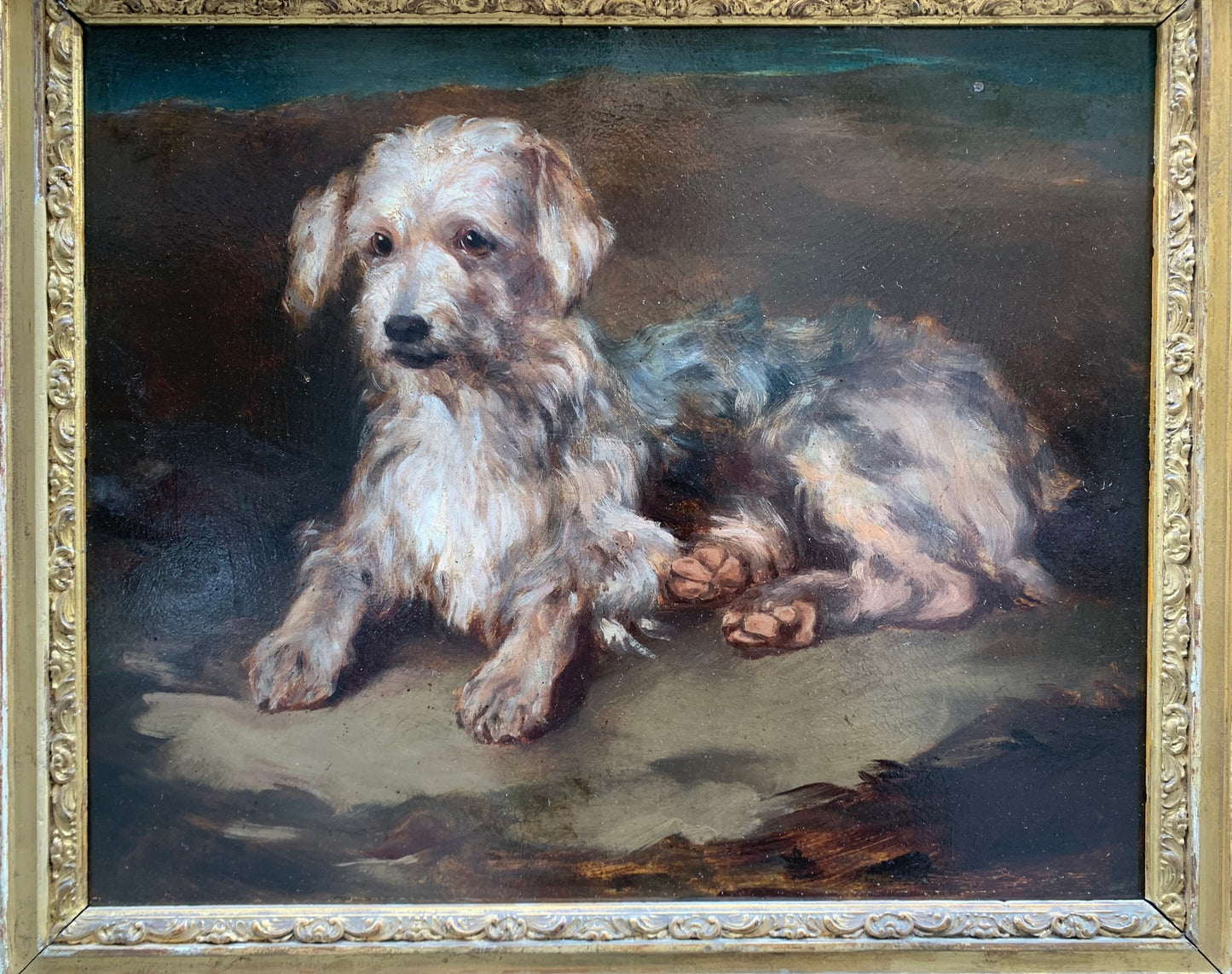 Portrait of a dog: reclining Terrier. Late XIX century.