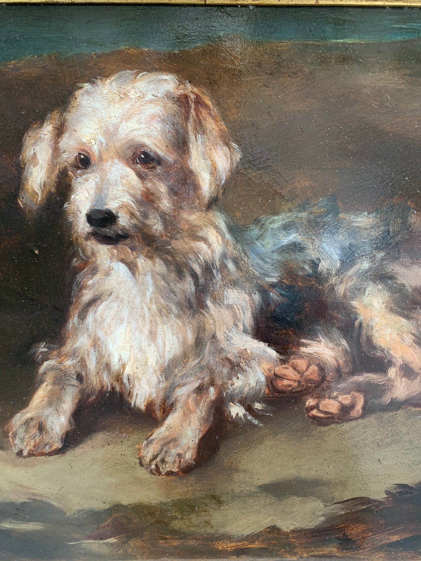 Portrait of a dog: reclining Terrier. Late XIX century.