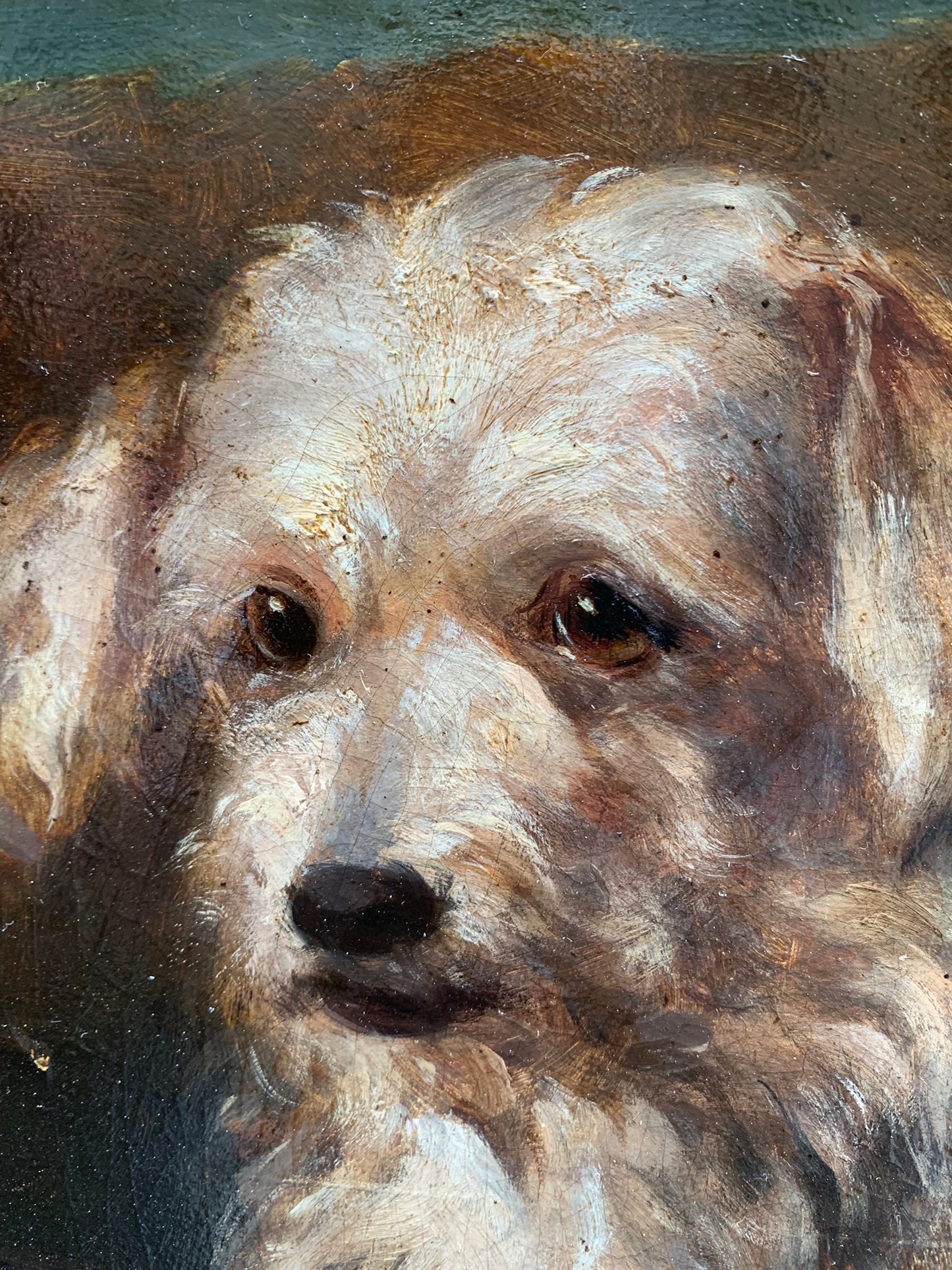 Portrait of a dog: reclining Terrier. Late XIX century.