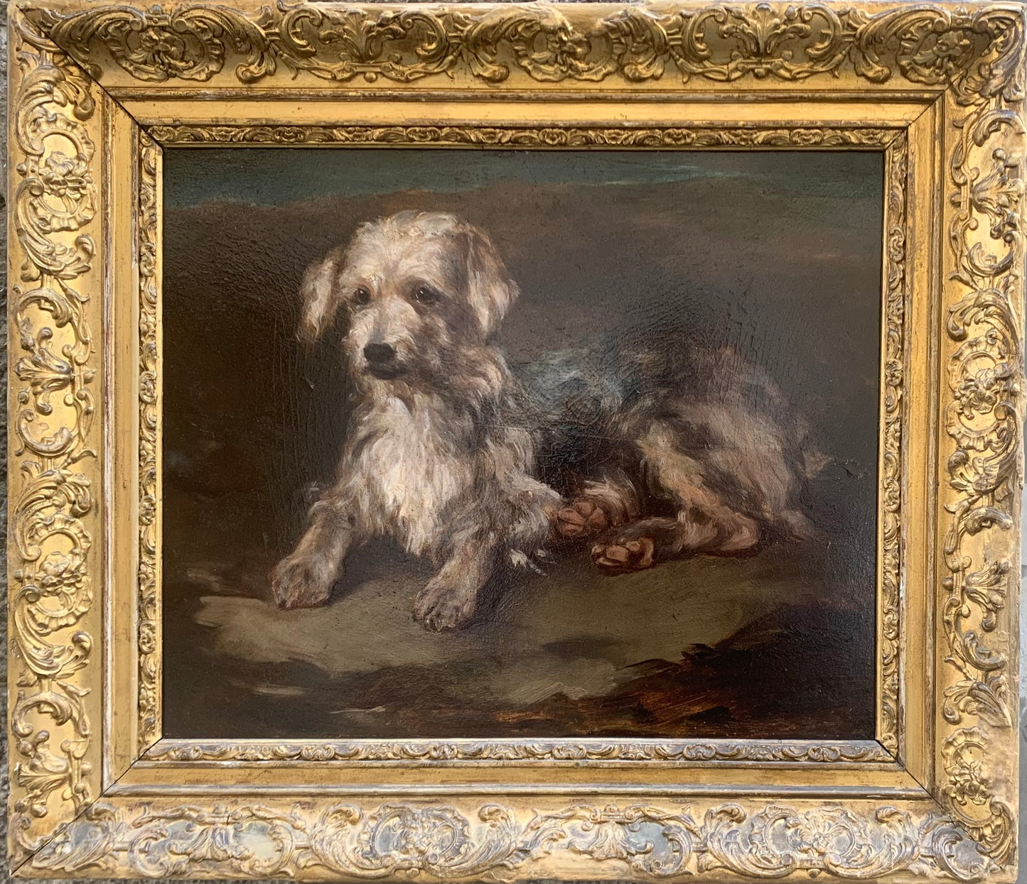 Portrait of a dog: reclining Terrier. Late XIX century.