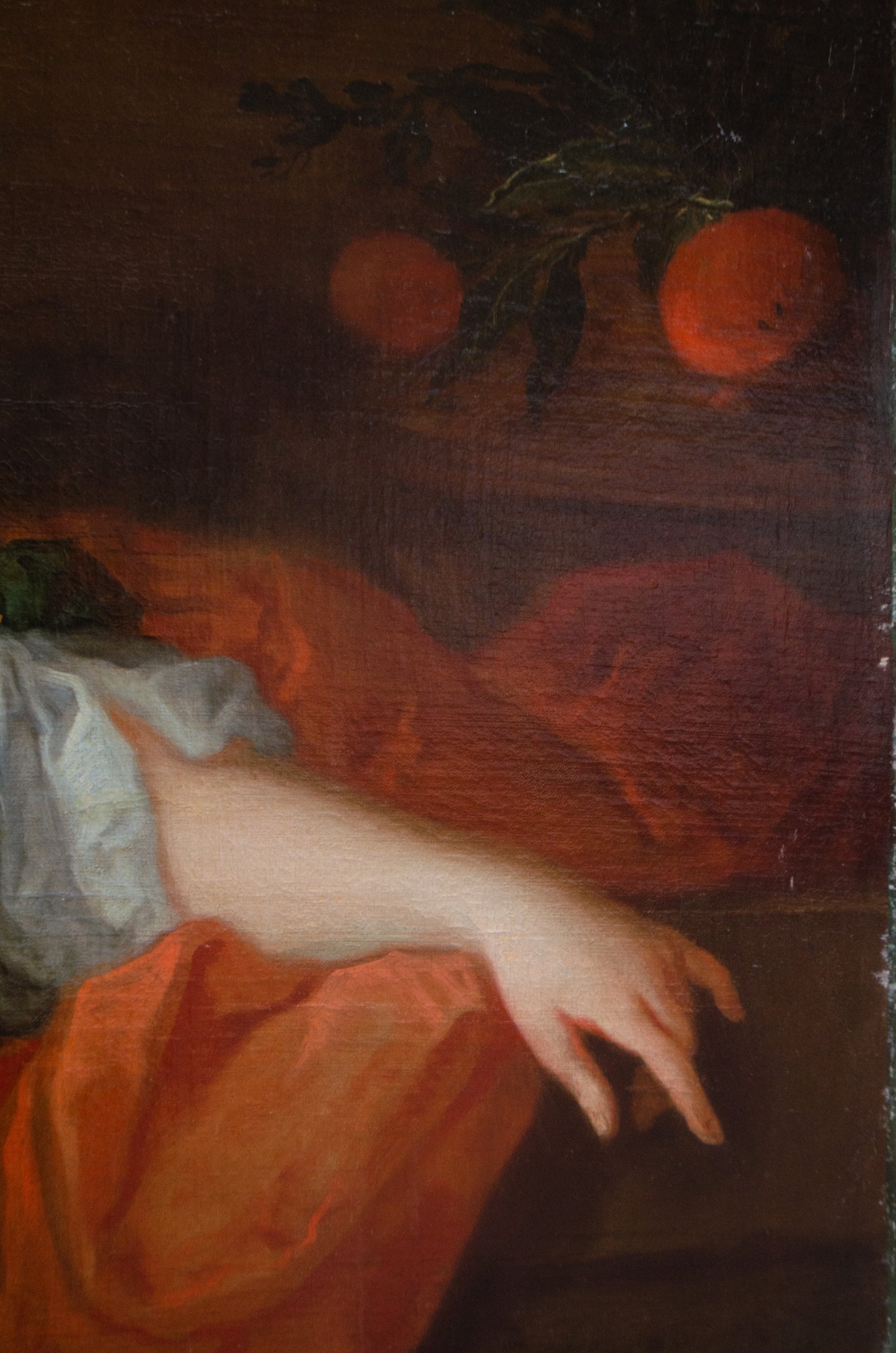 Large English School Portrait of lady with Oranges. 1715 circa